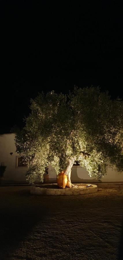 Masseria Cesarina B&B Castellana Grotte Kültér fotó