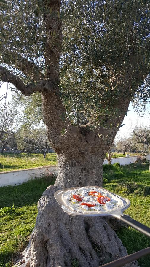 Masseria Cesarina B&B Castellana Grotte Kültér fotó