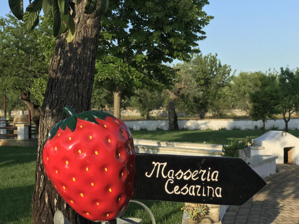 Masseria Cesarina B&B Castellana Grotte Kültér fotó